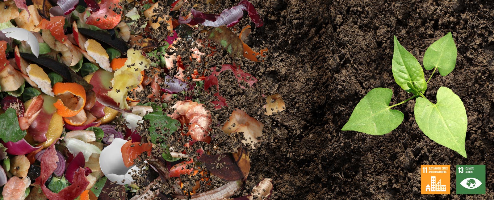 “Krungthai RELIFE” Turns Food Waste into Soil