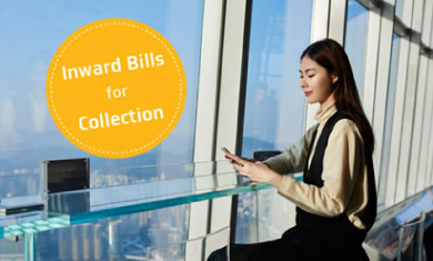 DLC Issuance/Amendment and DLC - Inward Bills for Collection