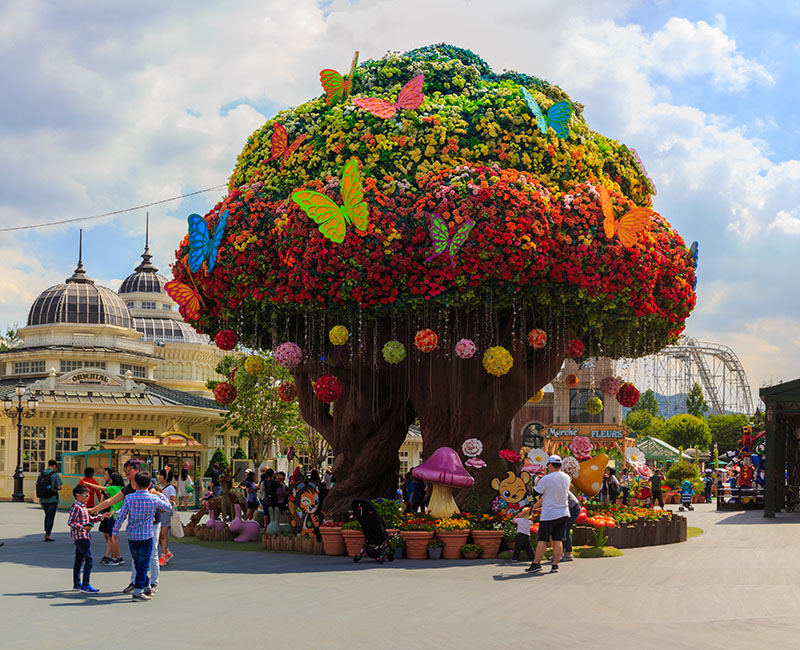 ท่องเที่ยวเกาหลี ที่เที่ยวเกาหลี สถานที่เที่ยวเกาหลี สวนสนุกเอเวอร์แลนด์, Everland Theme Park