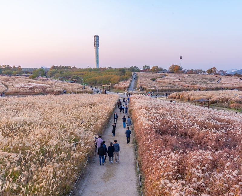 ท่องเที่ยวเกาหลี ที่เที่ยวเกาหลี สถานที่เที่ยวเกาหลี สวนสาธารณะฮานึล, Haneul Park