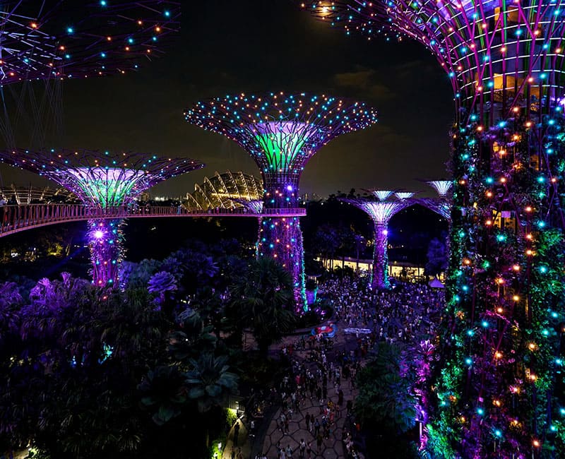 ที่เที่ยวสิงคโปร์ Gardens by the bay