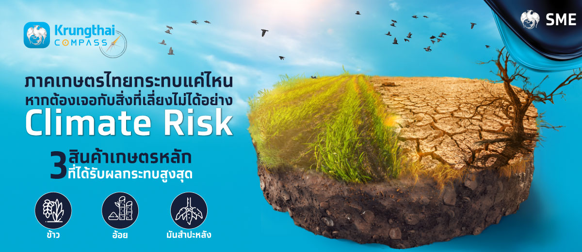 ภาคเกษตรไทย กับความเสี่ยงด้านสภาพอากาศ (Climate Risk)