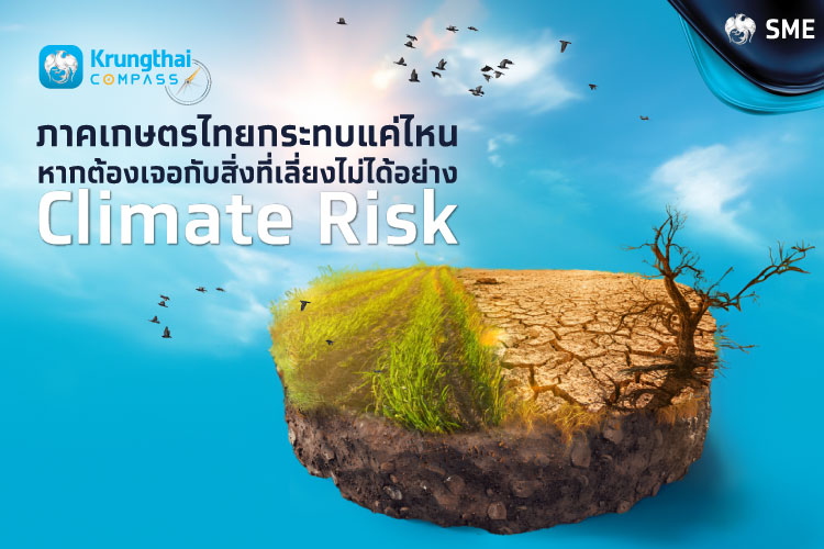 ภาคเกษตรไทย กับความเสี่ยงด้านสภาพอากาศ (Climate Risk)